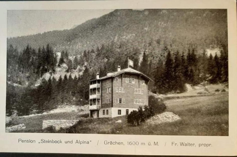 Hotel Alpina Grächen Exterior photo